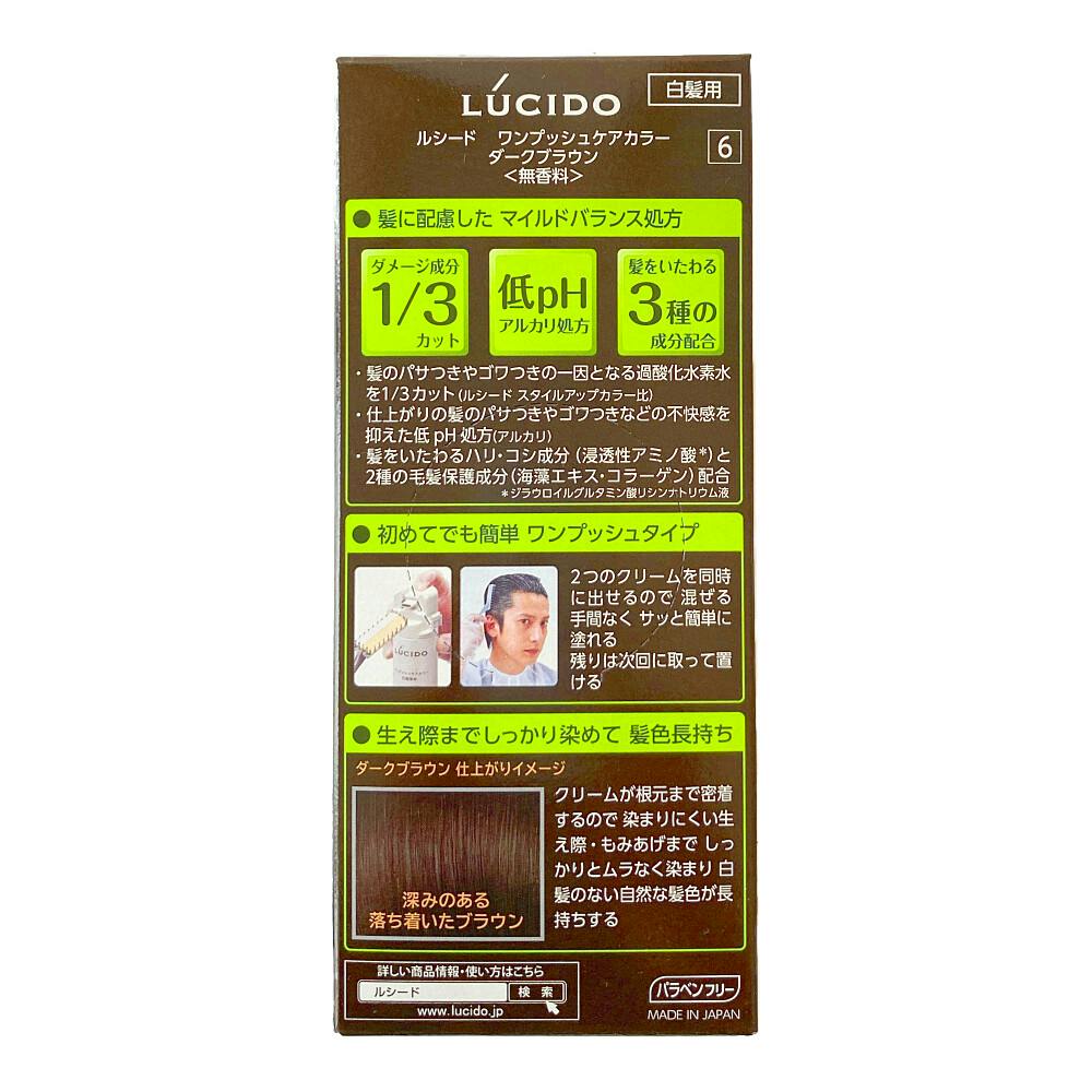ルシード ワンプッシュケアカラー ダークブラウン | ヘアカラー 通販