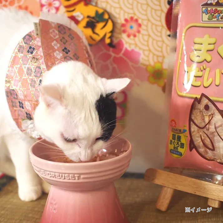 減塩まぐろだいすき 35g