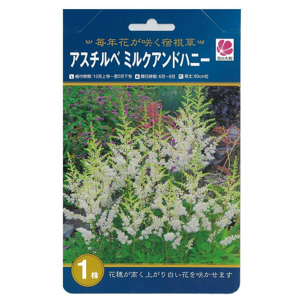 【東】アルストロメリア Amazon.co.jp: THE IDOLM@STER MILLION THE@TER GENERATION 12 D