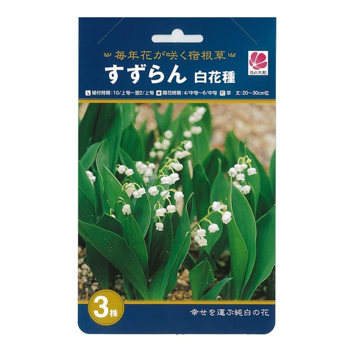 すずらん 白花種 3株(販売終了)