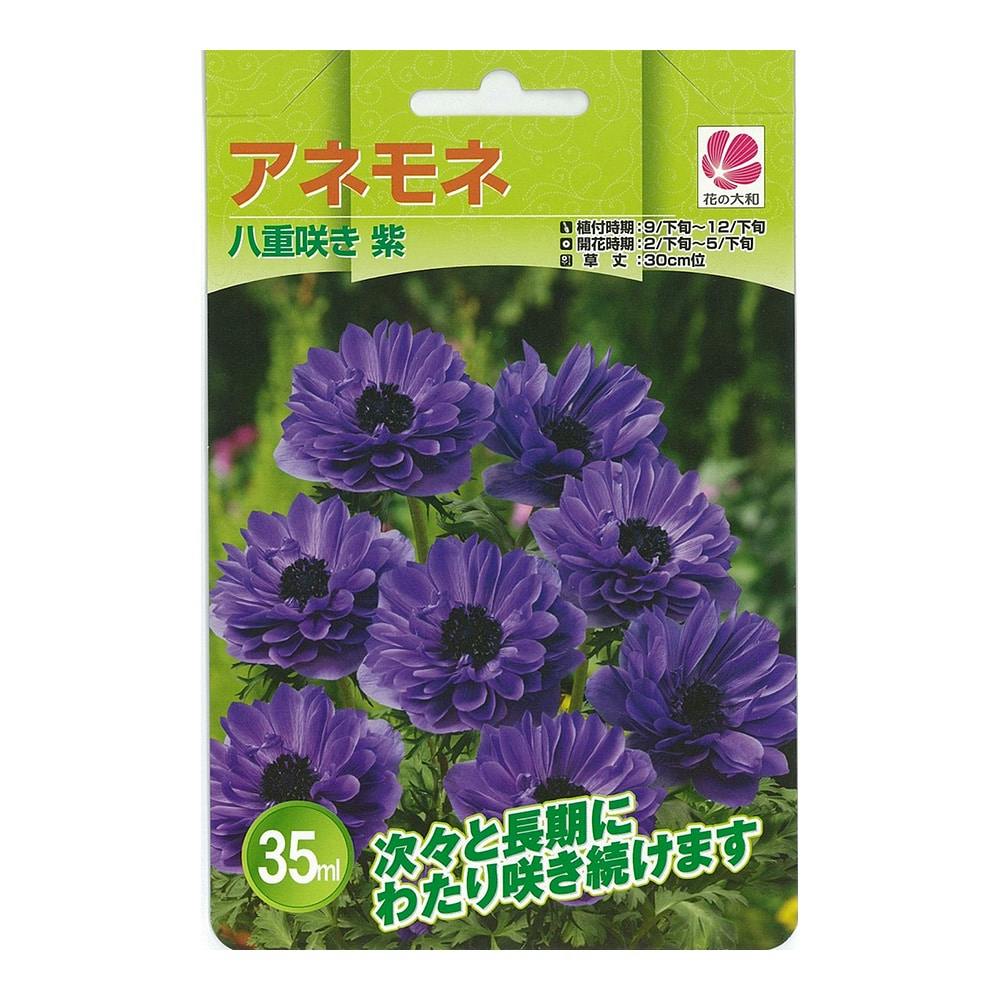 アネモネ八重咲き 紫35ml(販売終了)