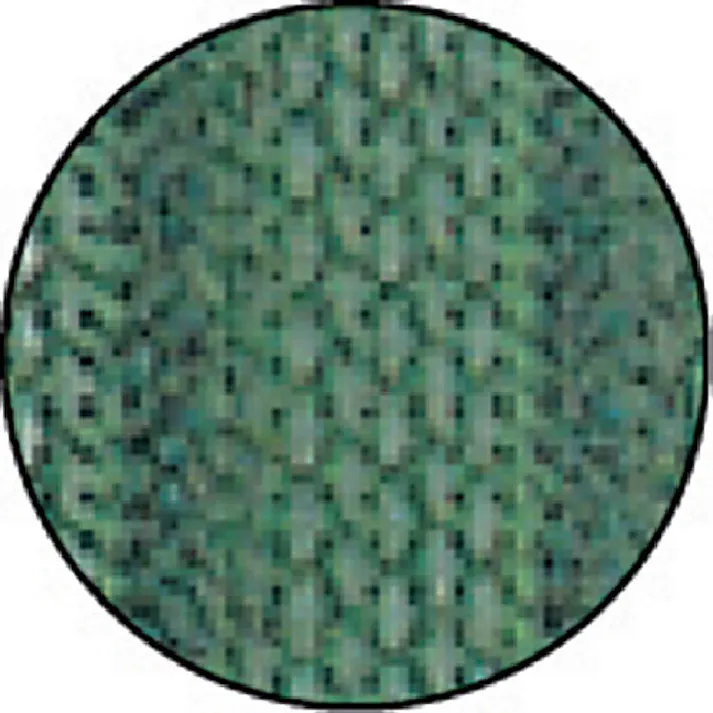 【CAINZ-DASH】山崎産業 エバック 屋外用マット ブラシハードマットYL #6(縁あり) 600mm×900mm 緑 F-117-6-G【別送品】