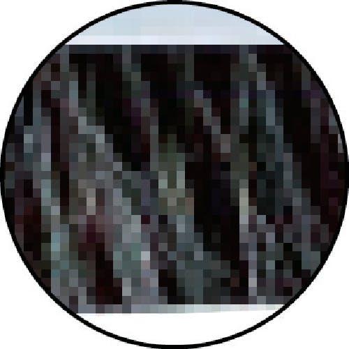 CAINZ-DASH】山崎産業 ほうき プロテック ブルロンTF－N45 伸縮柄