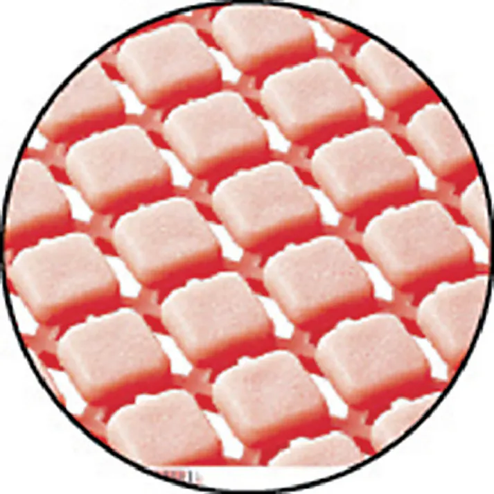 【CAINZ-DASH】山崎産業 素足スノコ コーナー F-163-FC-G【別送品】