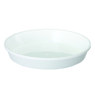 鉢皿サルーン 1号 ホワイト