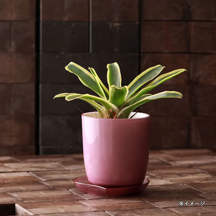 大和プラスチック PONプレート 3号 ローズ