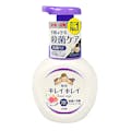 ライオン キレイキレイ 薬用泡ハンドソープ フローラルソープの香り ポンプ 250ml