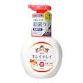 ライオン キレイキレイ 薬用泡ハンドソープ フルーツミックスの香り ポンプ 250ml