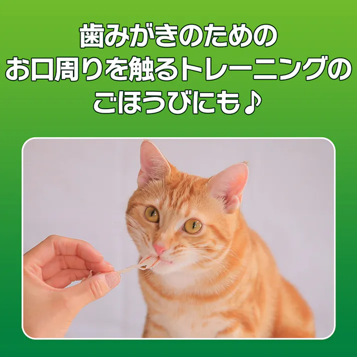 PETKISS ネコちゃんの歯磨きおやつ カニ風味かま 15g