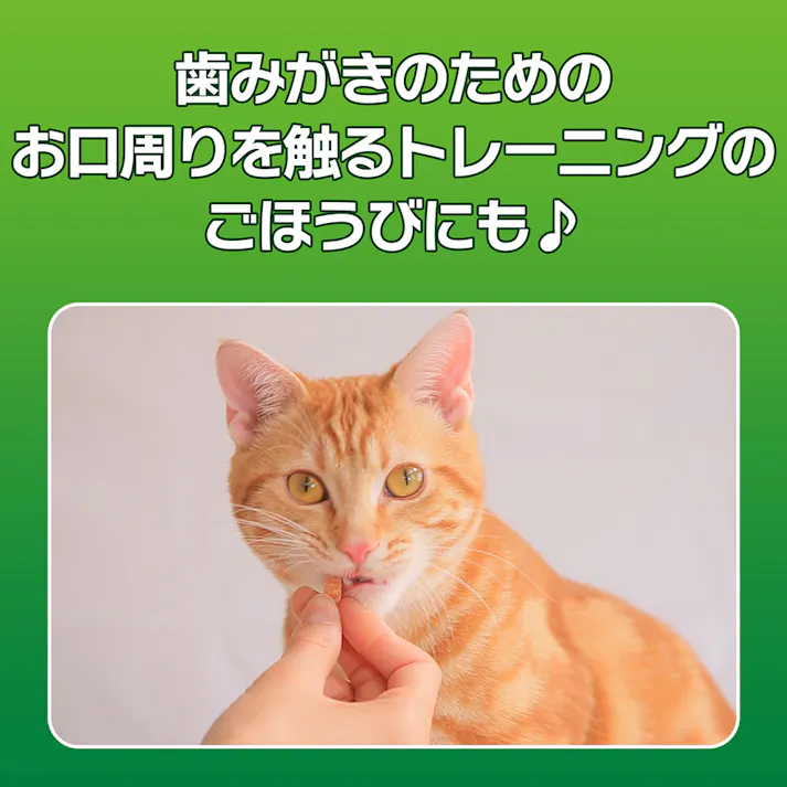 PETKISS FOR CAT オーラルケア ササミ&チーズ 20g