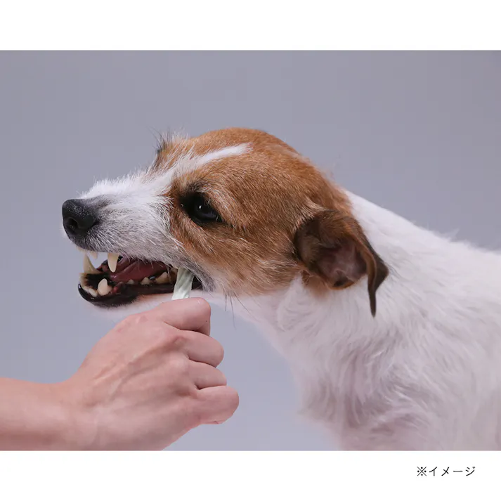 PETKISS 食後の歯みがきガム 無添加 超やわらか 超小型犬~小型犬用 80g