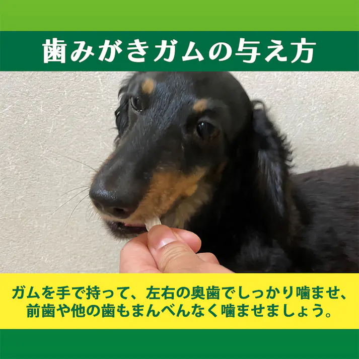 PETKISS 食後の歯みがきガム 超小型犬用 ジャンボパック 約45本