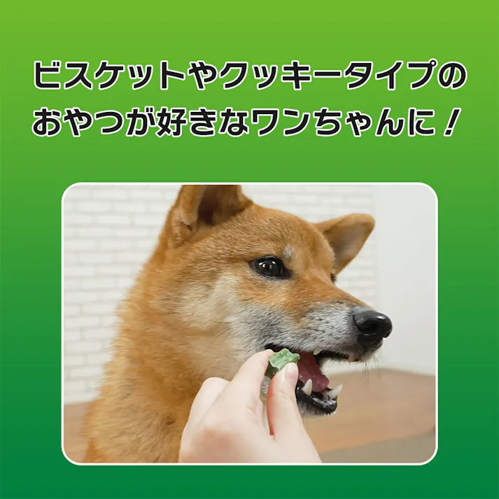 ペットキッス 犬歯みがきクッキー野菜入り 60g