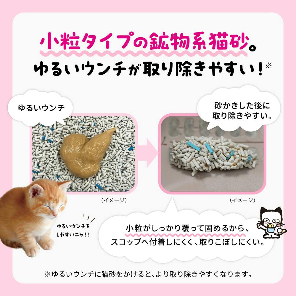 専用　エコネコ6枚セット 楽天市場】【10%OFF 楽天スーパーSALE限定】[瀬川菓子舗] 猫箱(小