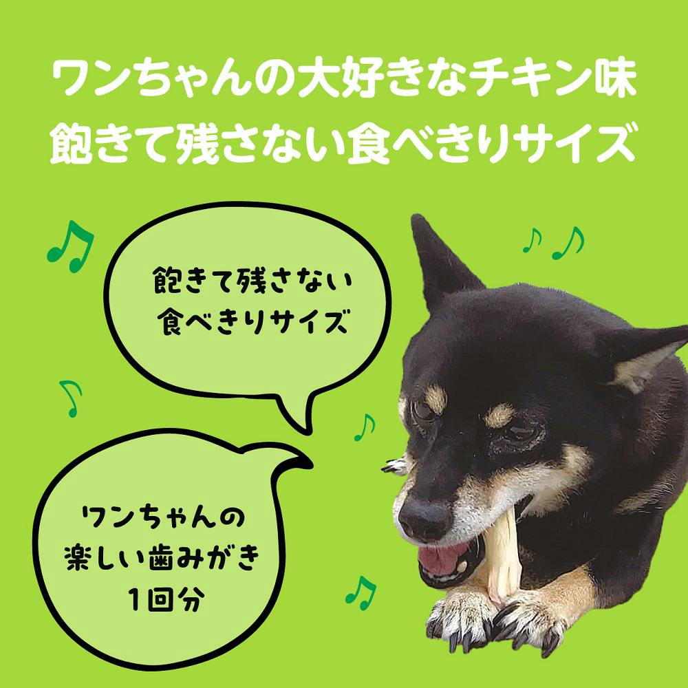 ライオンペット PETKISS Toy発想 デンタルトリーツ スリットブラシ