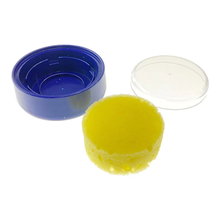 レモン スポンジケース