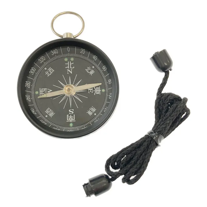 レモン 蓄光方針磁石 ひも付