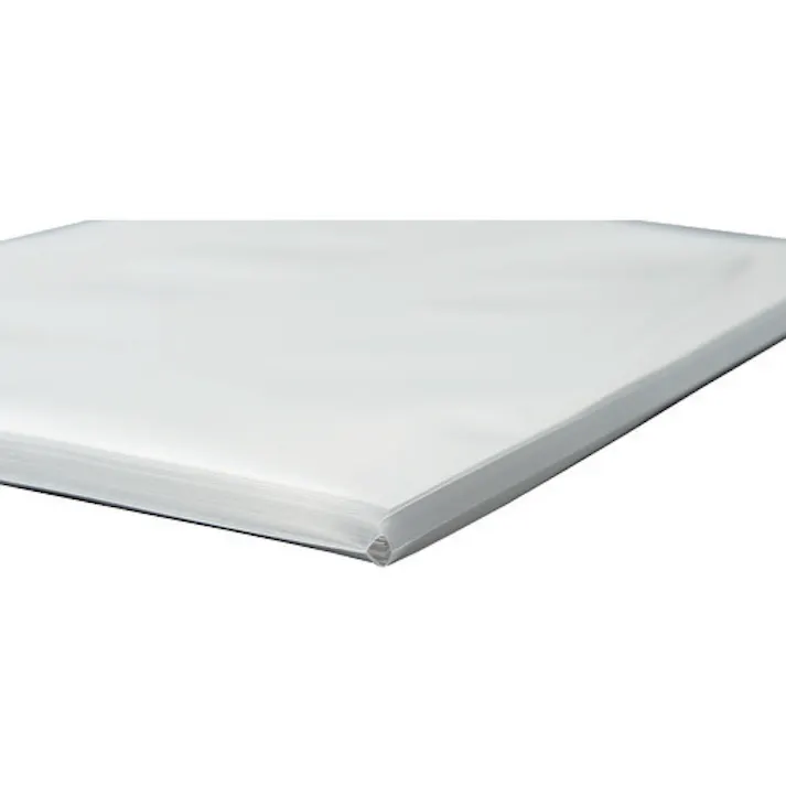 【CAINZ-DASH】LIHIT LAB. マチ付きクリヤーポケット(10枚入) G49190【別送品】