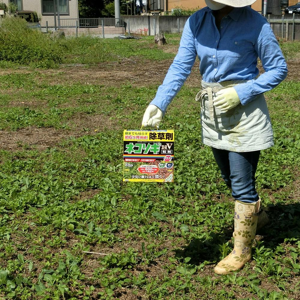 ネコソギエースv粒剤 3kg ホームセンター通販 カインズ