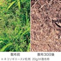 レインボー薬品 除草剤 ネコソギエースV 粒剤 10kg