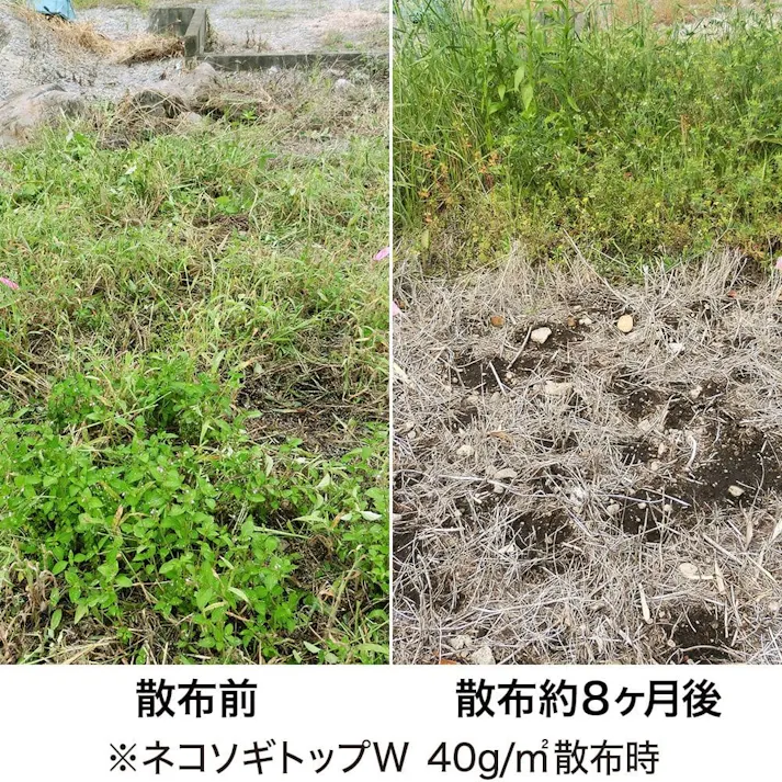 除草剤 ネコソギトップW 粒剤 3kg(販売終了)