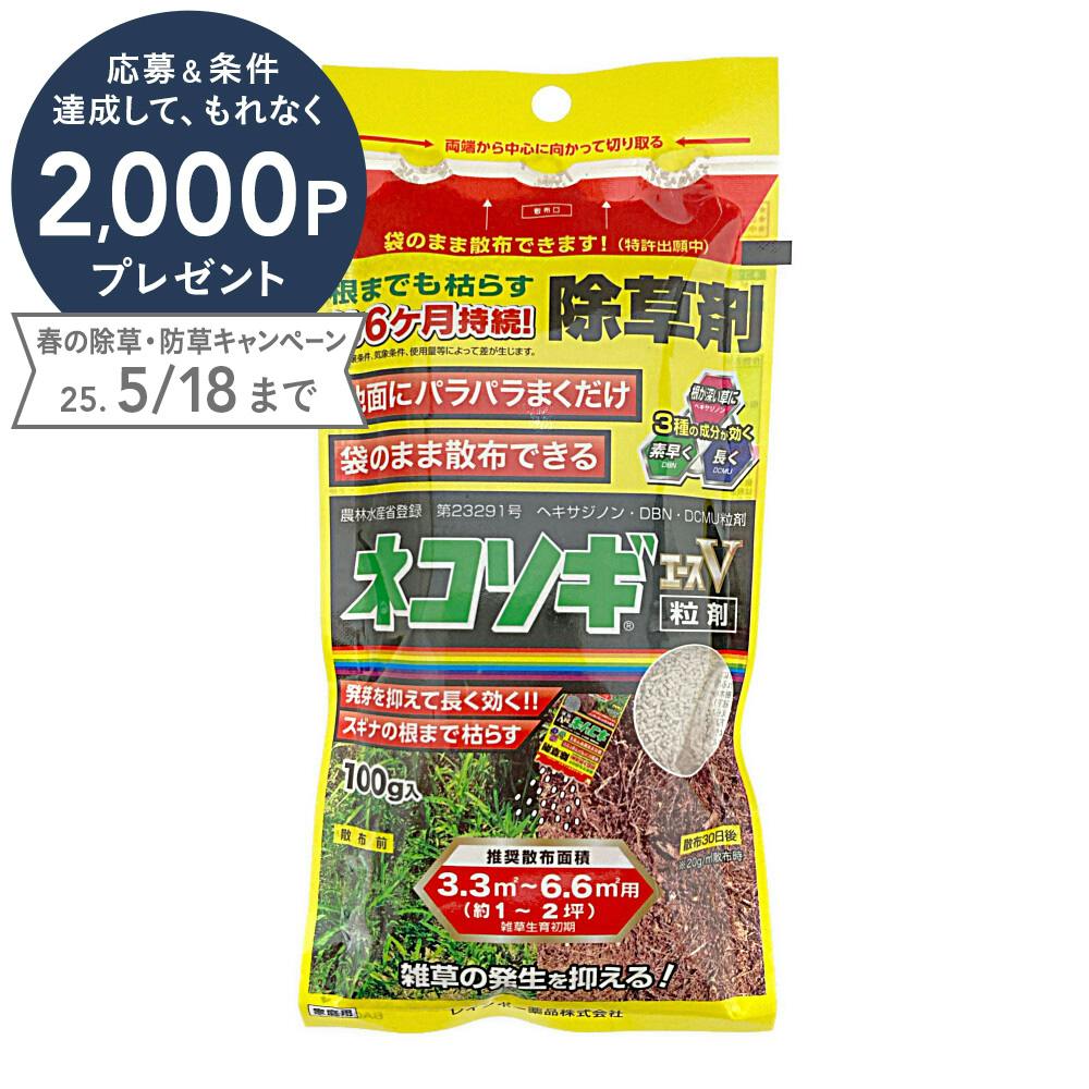 レインボー薬品 除草剤 ネコソギエースV 粒剤 100g | 園芸用品 ...