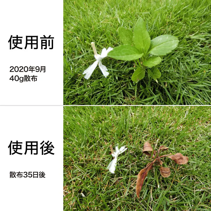 芝生に優しくしっかり除草 シバキープ3C 3kg