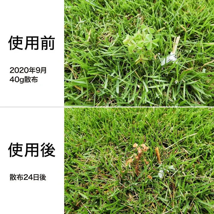 肥料入り芝生用除草剤 シバキーププラスVC 2kg