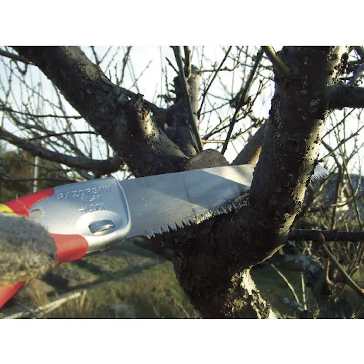 【CAINZ-DASH】玉鳥産業 SELECT250生木 164【別送品】