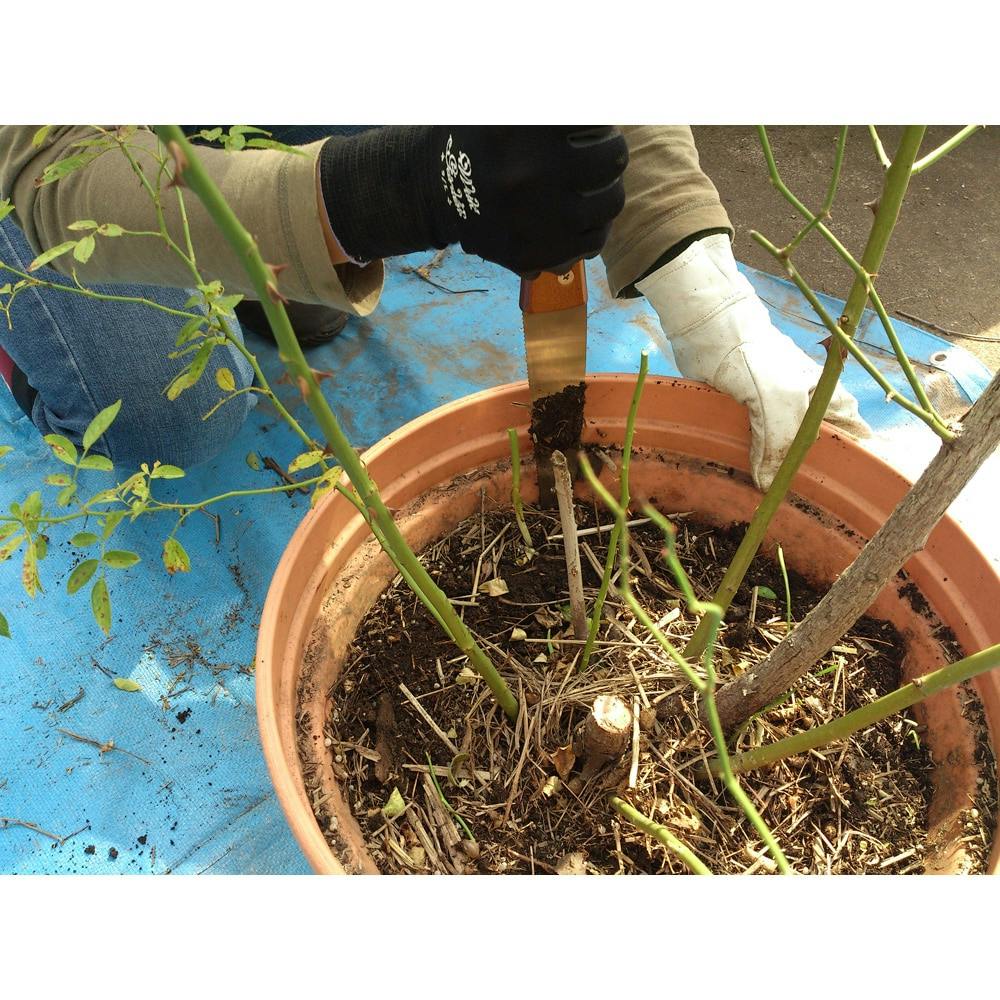 PlantHunter Nekiri 本体 【別送品】 | 園芸刃物 通販