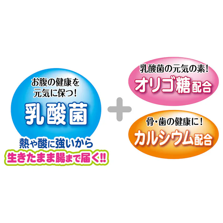 乳酸菌のちからスティックタイプ100g