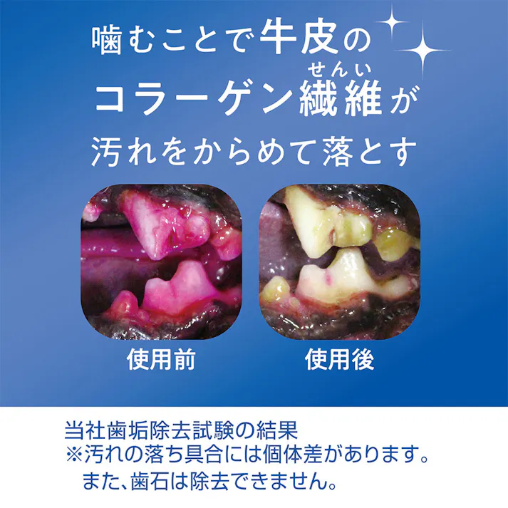 プラクトデンタルガム中-大型犬ハード 12本