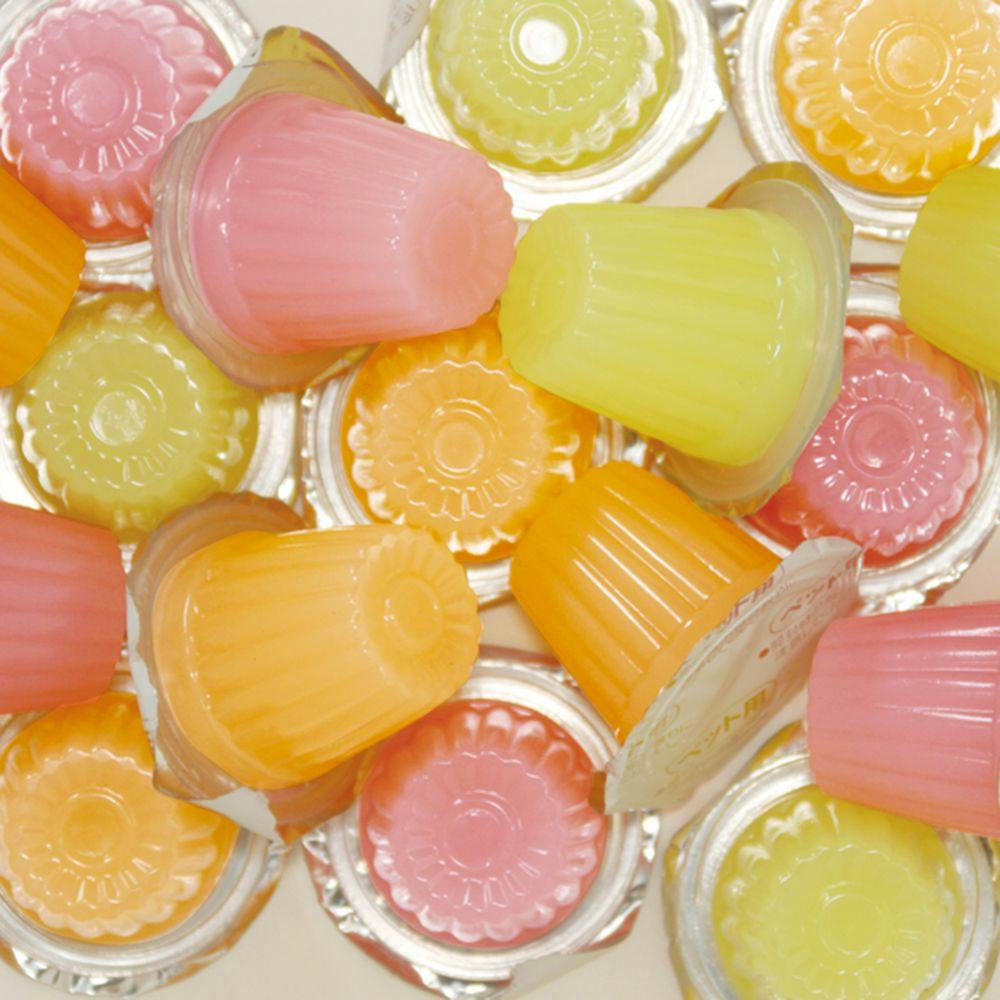 ぷるっとサプリinゼリーミックス 16g×15個入(販売終了) | おやつ（犬