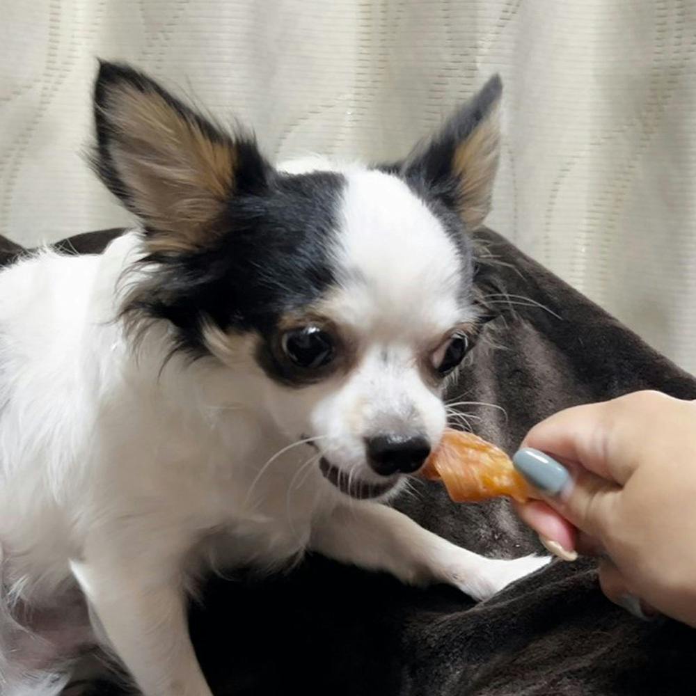 ササミ巻き 牛すじ入りガム 12本入 | 犬用おやつ 通販