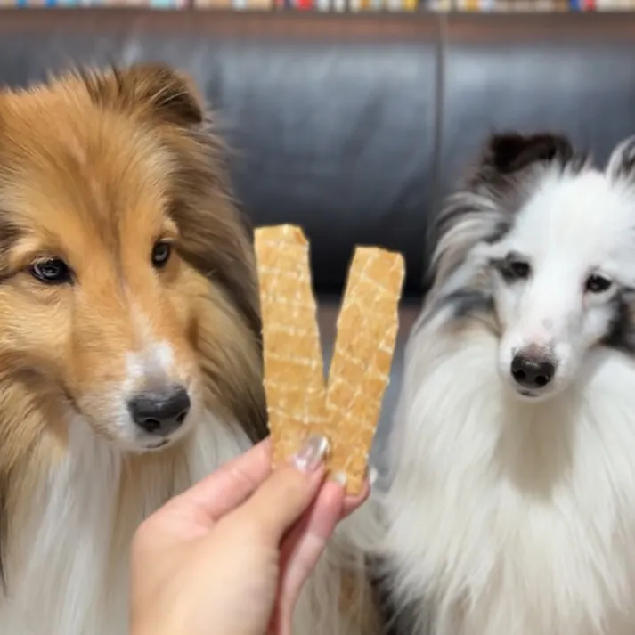 素材そのまま うなぎと鶏ささみスライスハード