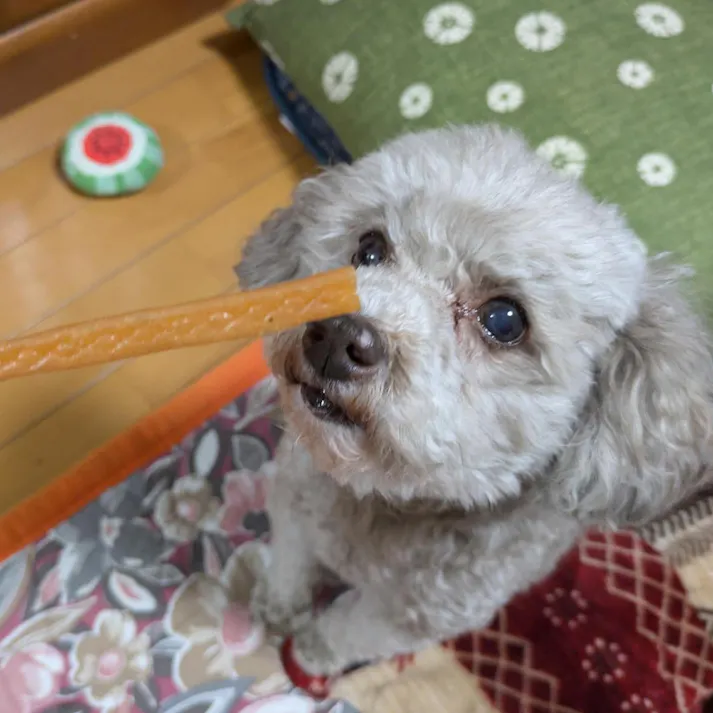 素材そのまま うなぎと鶏ささみスティックソフト