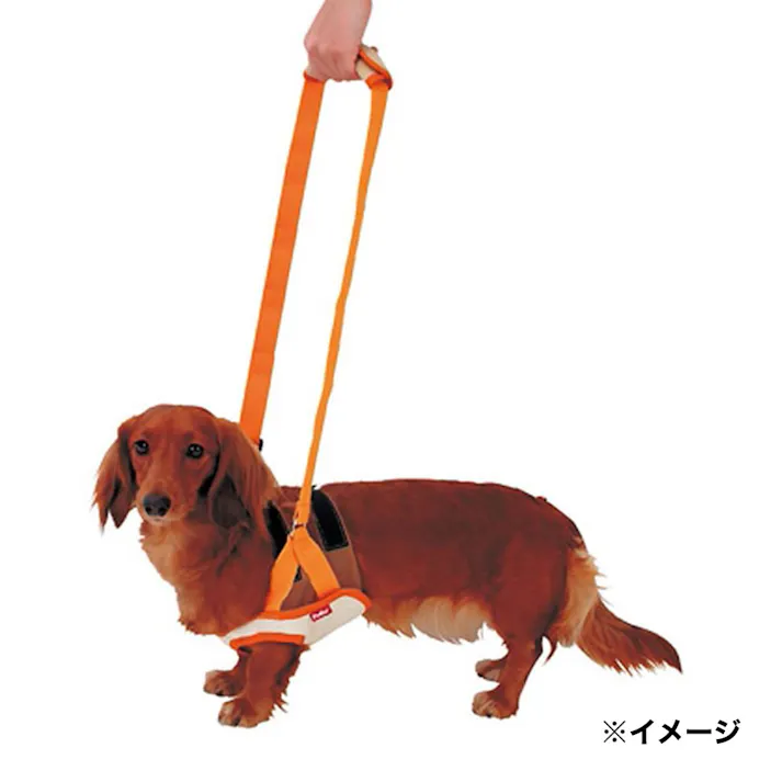 老犬介護用 歩行補助ハーネス 前足用K M