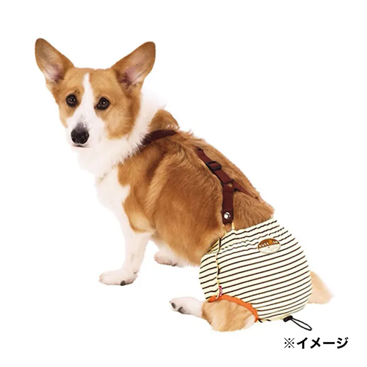 ペティオ 老犬介護用 おむつパンツK L