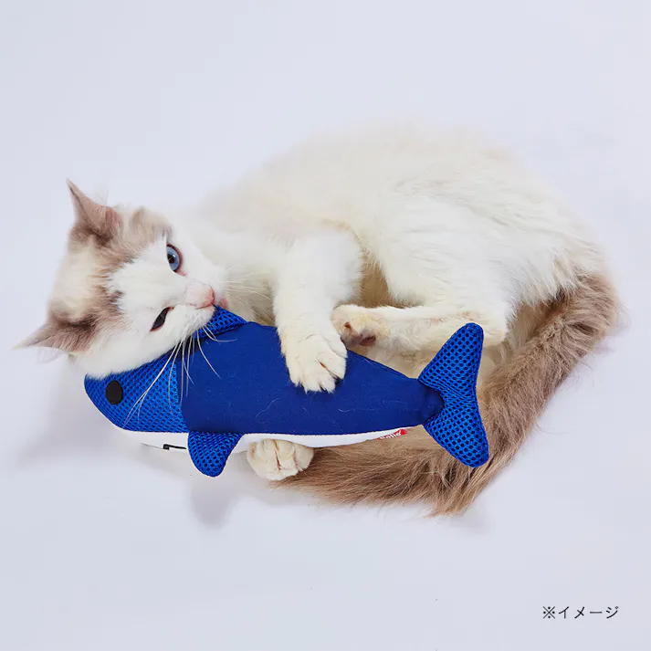 らくらくデンタルTOY けりぐるみ サメ