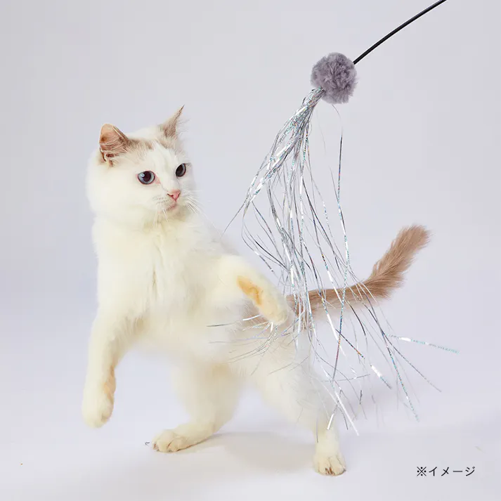 necoco タクトじゃらしシルバーシャワー