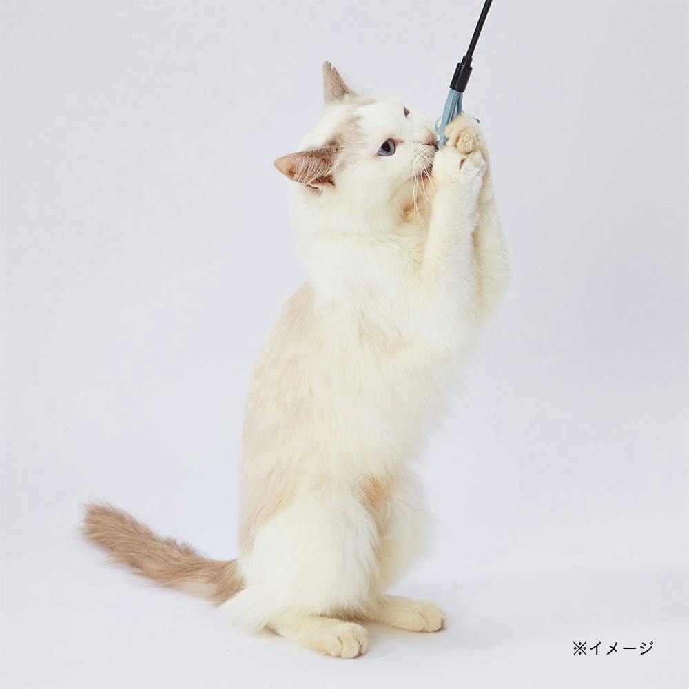 necoco レザー猫じゃらし 結びレザー | ペット用品（猫） 通販