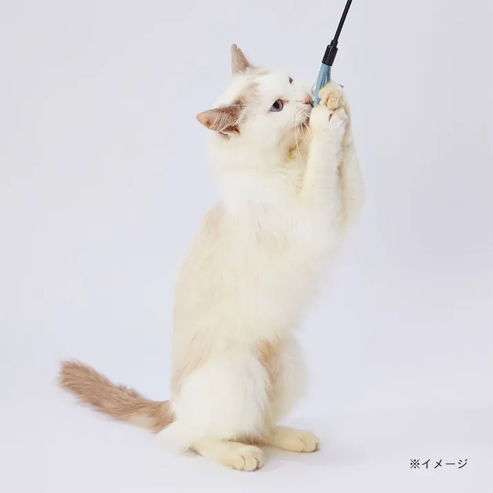 necoco レザー猫じゃらし 結びレザー