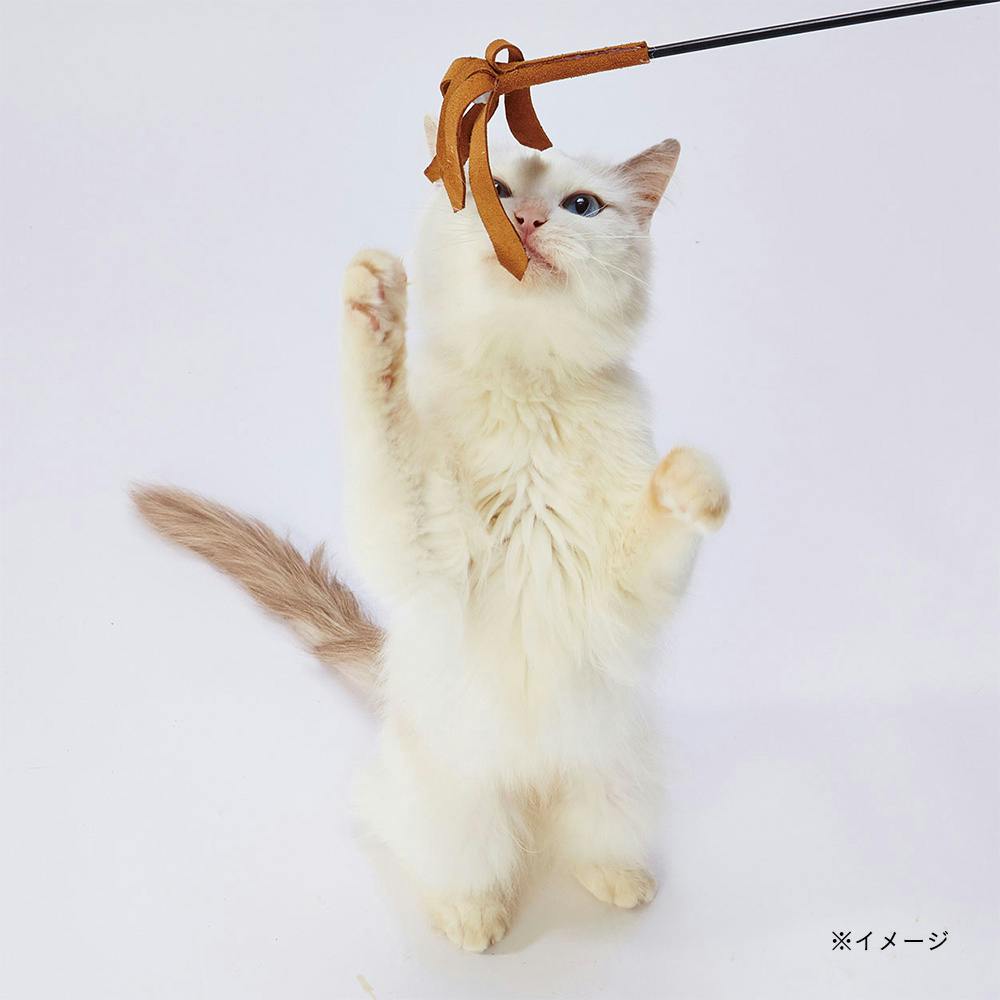 ネコ 新東北化学 フォーキャット ラクラクサンド 4L 4901879002880