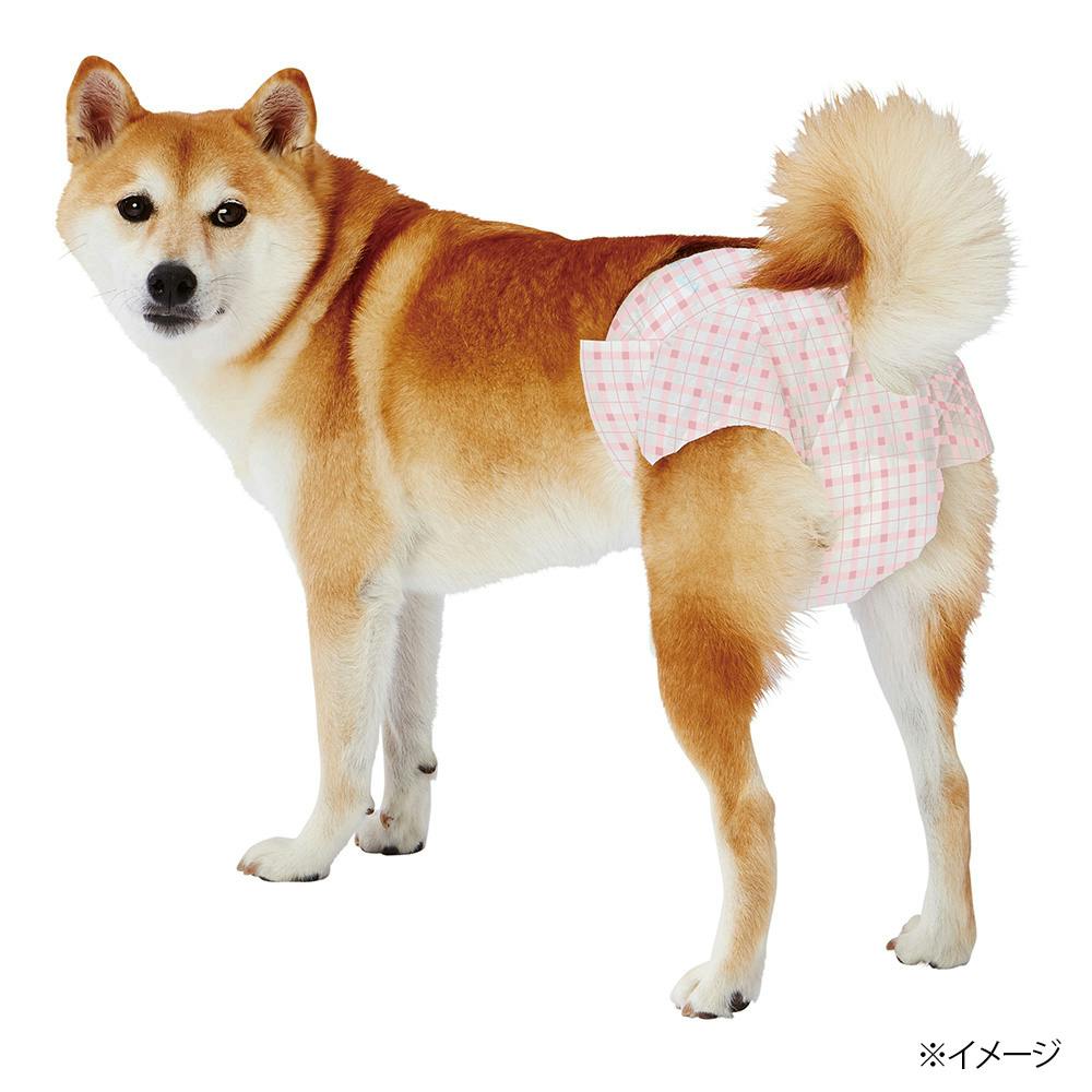 カインズ限定 エチケットパンツ 女の子用 L 14枚(販売終了) | ペット