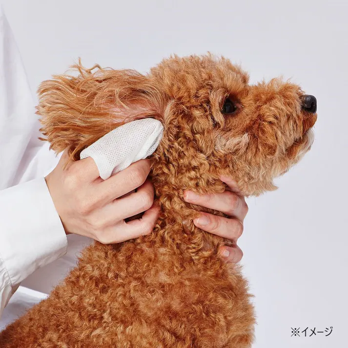 顔まわり用 シャンプーティッシュ 30枚×2個パック