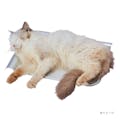 ペティオ 犬猫用 広々寝そべれるクールアルミピローシート L