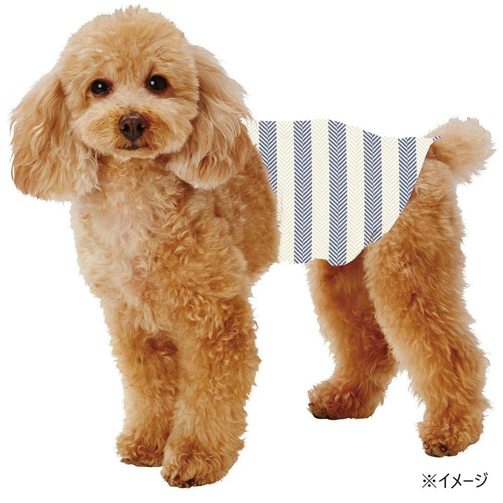 ベッドフォード　カウスキン　レザーパンツ　箱2 ベッドフォード カウスキン レザーパンツ 箱2