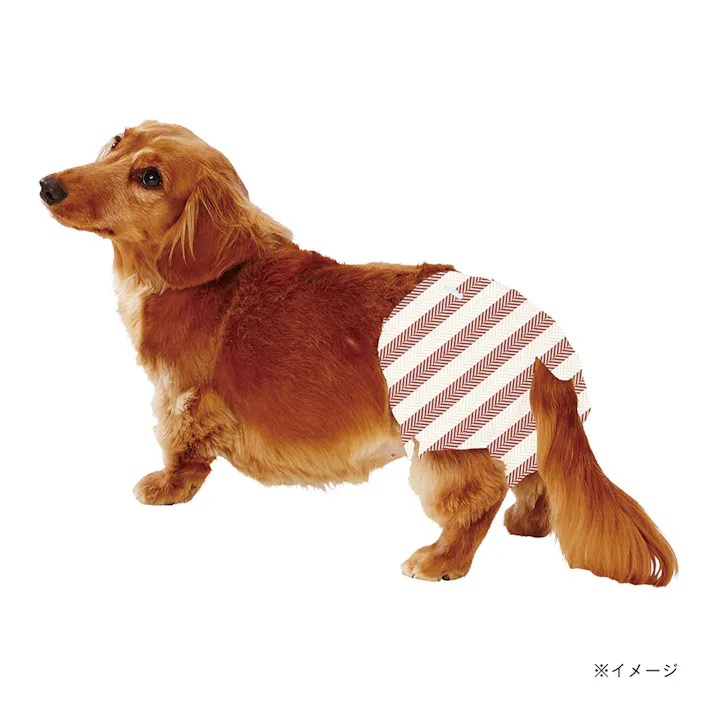 エチケットパンツ 女の子用 S フレス 16枚