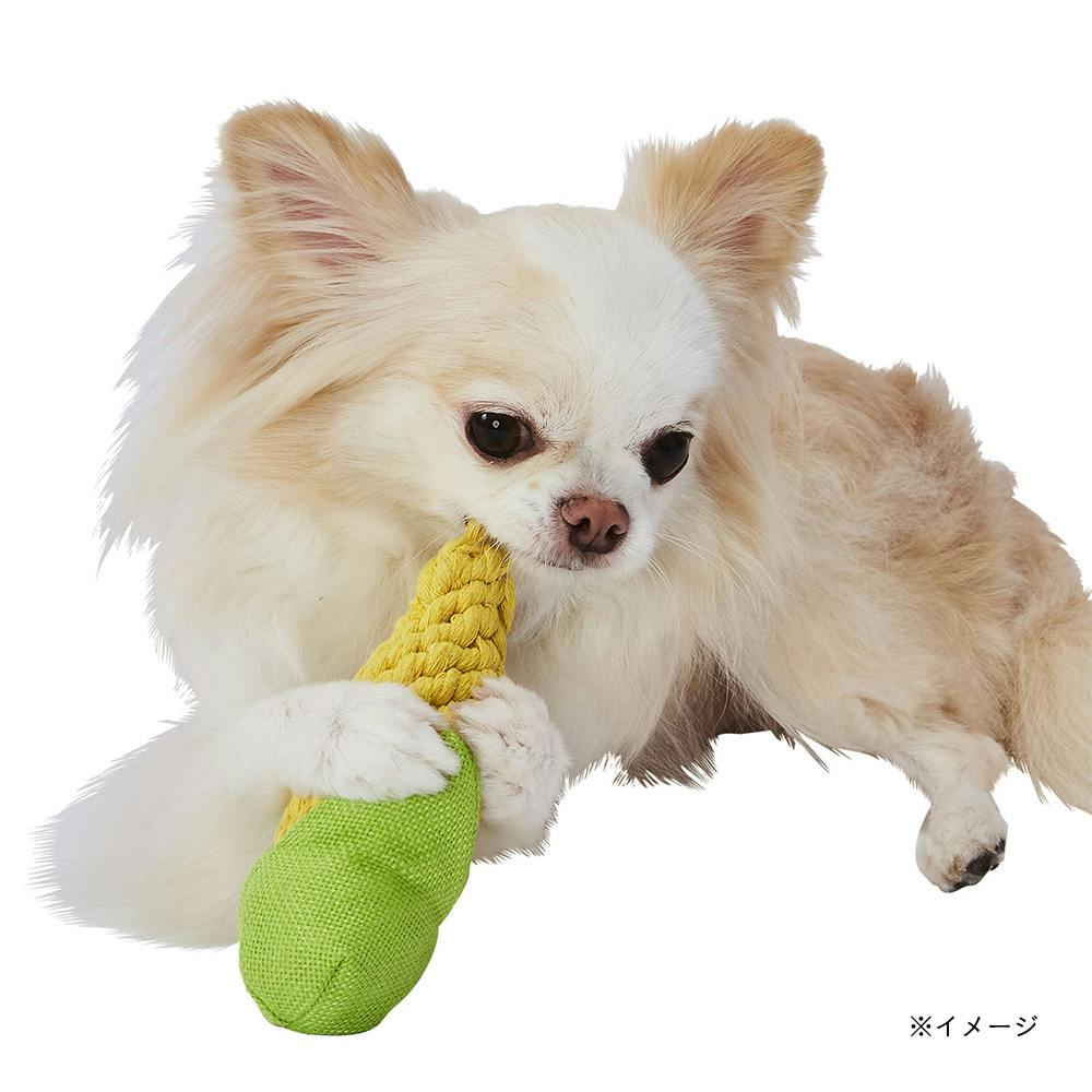 犬用おもちゃ 編んでるCORN デンタル S | ペット用品（犬） 通販