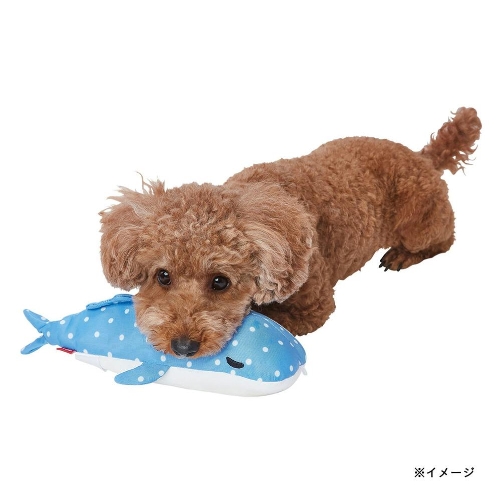新品・希少品 魔法でへんげぇ Dnya animal系 1BOX/12個入り AZONE INTERNATIONAL::えっくす☆きゅーと